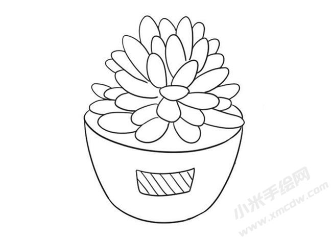 多肉植物简笔画绘制步骤09.jpg