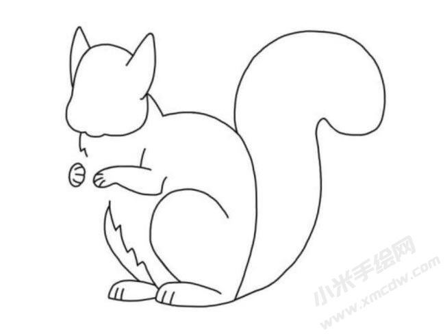 松鼠简笔画分步绘制图示05.jpg