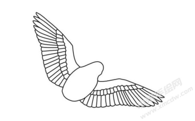 鸽子简笔画分步绘制图示03.jpg