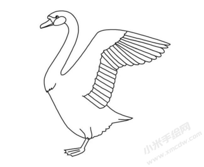 天鹅简笔画分步绘制图示05.jpg