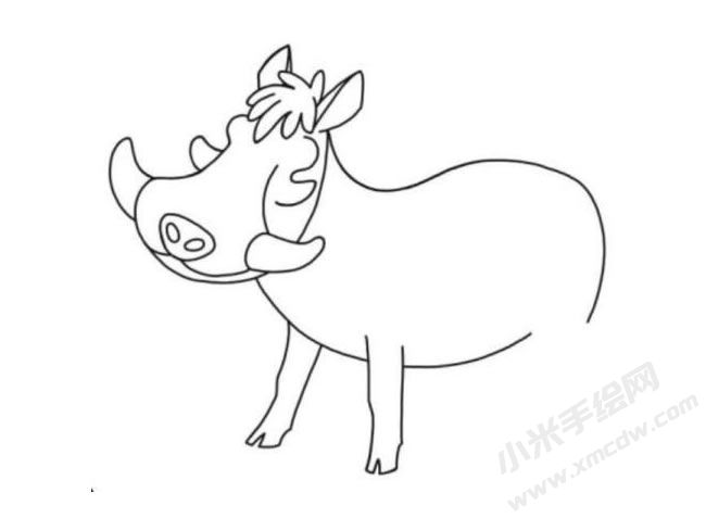 疣猪简笔画分步绘制图示04.jpg