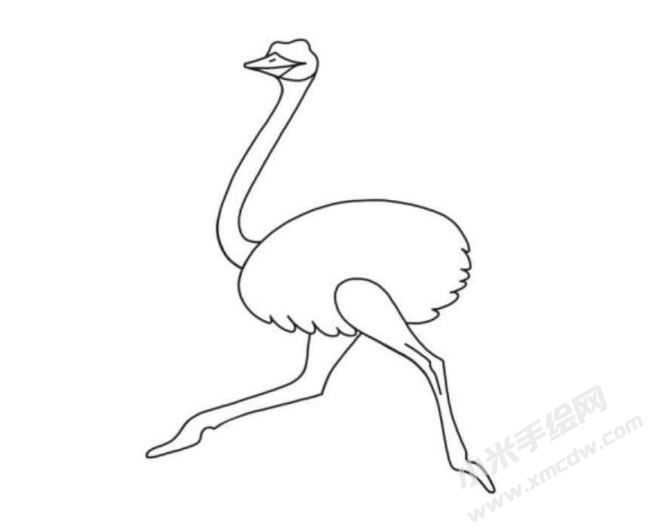 鸵鸟简笔画分步绘制图示05.jpg