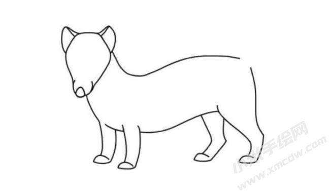 猫鼬简笔画分步绘制图示05.jpg