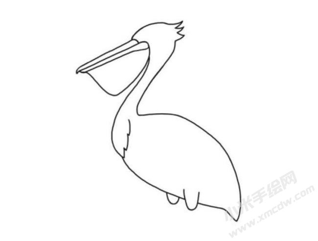 鹈鹕简笔画分步绘制图示03.jpg