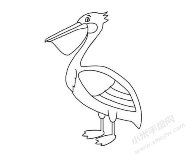 鹈鹕简笔画分步绘制图示06.jpg