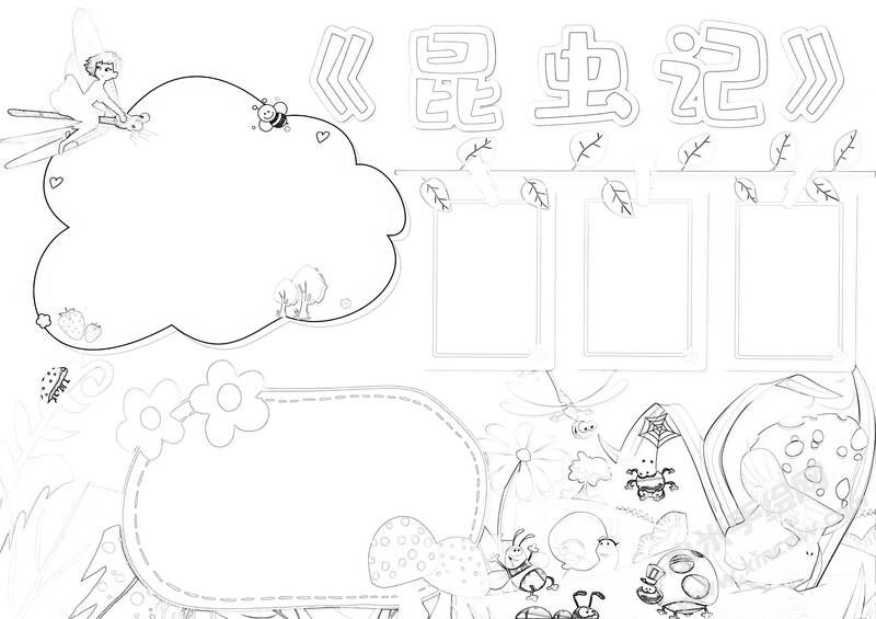 昆虫记手抄报黑白线稿（第十一版）.jpg