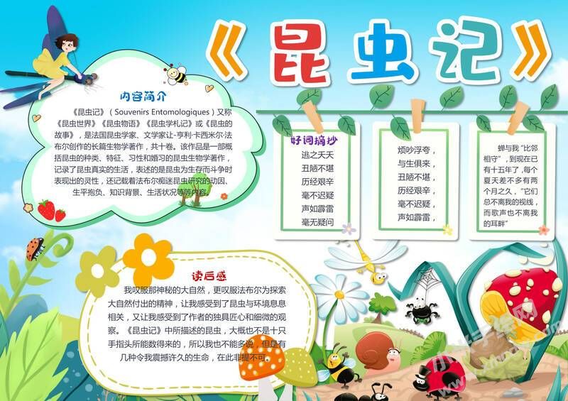 昆虫记手抄报模板有字版（第十一版）.jpg