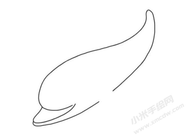 海豚简笔画分步绘制图示03.jpg