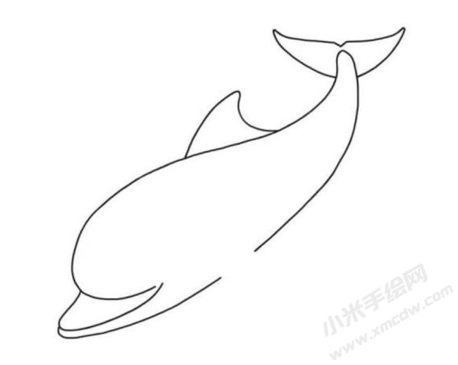 海豚简笔画分步绘制图示05.jpg