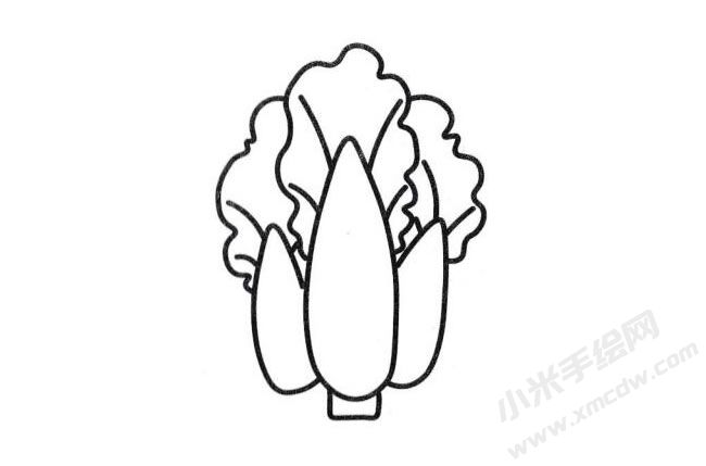白菜简笔画分步绘制图示05.jpg
