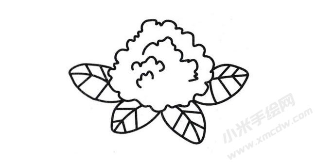 菜花简笔画分步绘制图示05.jpg