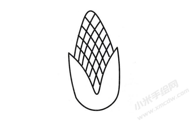 玉米简笔画分步绘制图示04.jpg