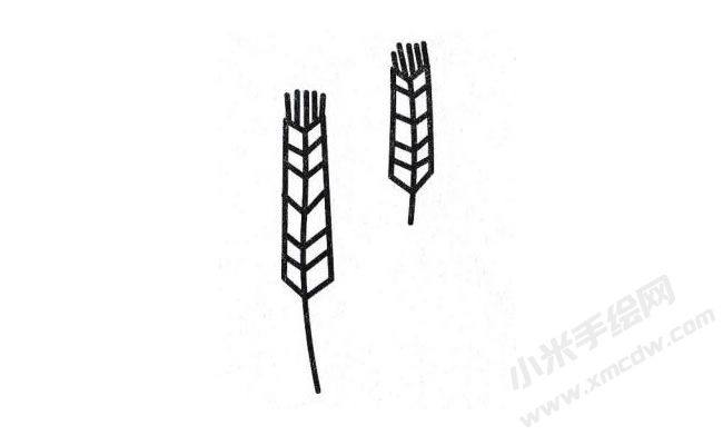 麦子简笔画分步绘制图示04.jpg
