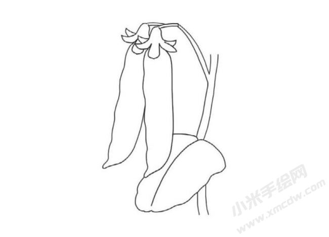 豌豆荚简笔画分步绘制图示04.jpg