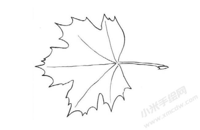 简笔画枫叶分步画法图示04.jpg