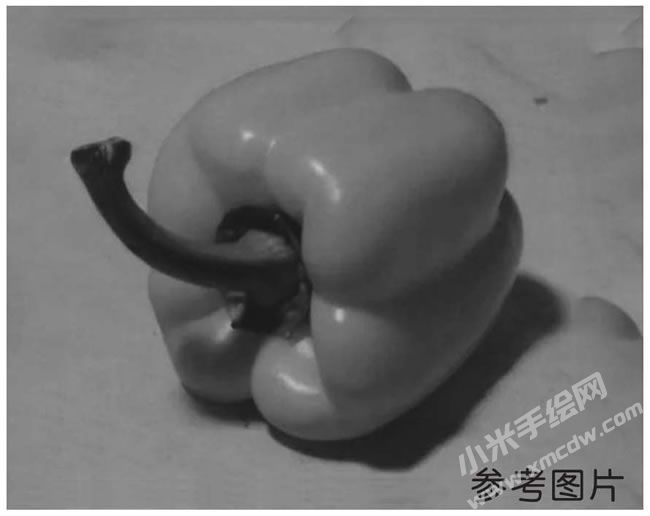 素描彩椒参考图片.jpg