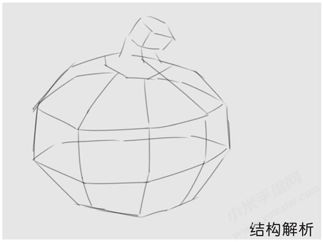 洋葱素描结构解析.jpg