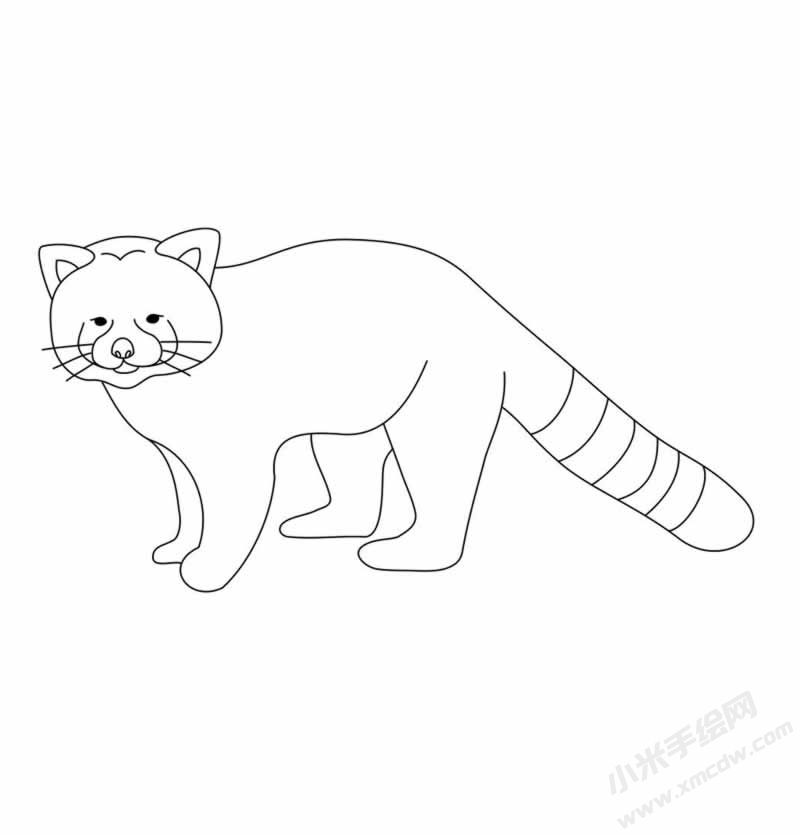 小熊猫简笔画图片