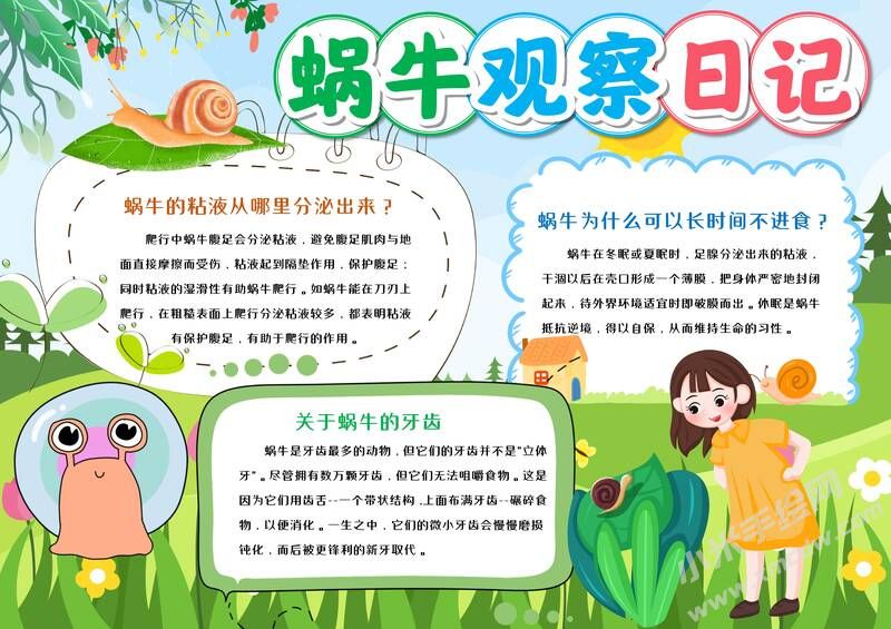 蜗牛观察日记手抄报模板有字版（第一版）.jpg