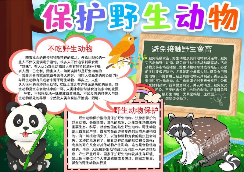 保护野生动物手抄报模板有字版.jpg