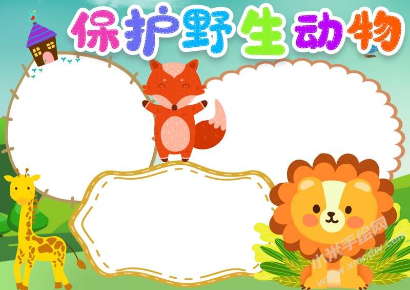 保护野生动物手抄报模板无字版（第二版）.jpg