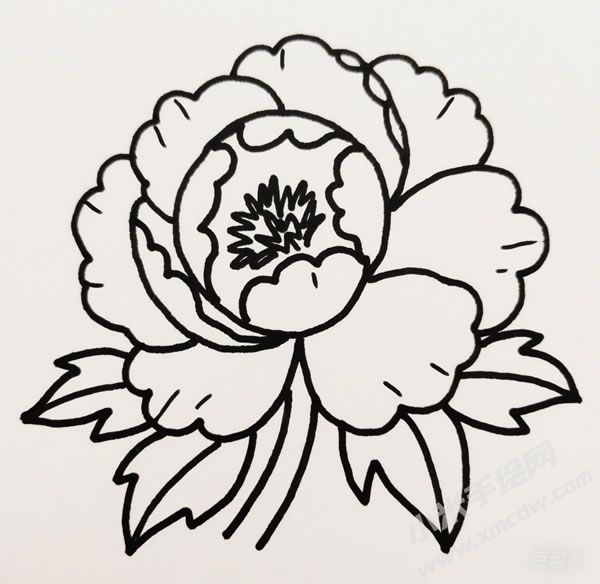 牡丹花简笔画01.jpg