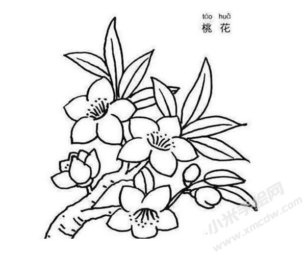 桃花简笔画图片01.jpg