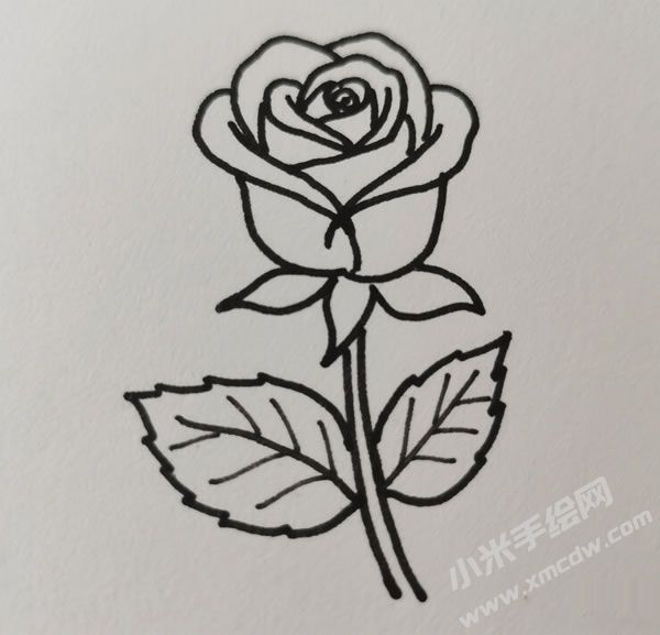 玫瑰花简笔画图片03.jpg