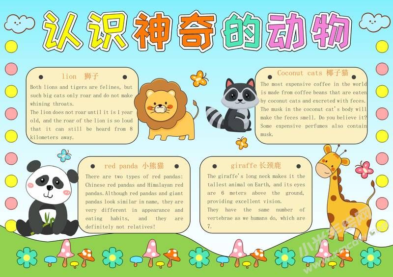 认识神奇的动物手抄报模板有字版.jpg