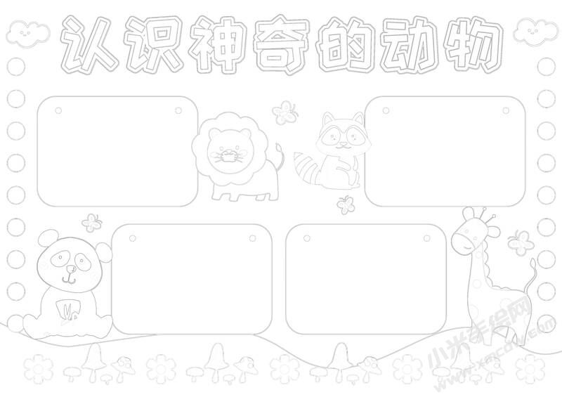 认识神奇的动物手抄报黑白线稿.jpg