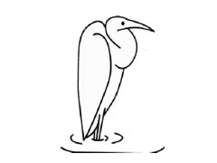 白鹭简笔画创作步骤图示