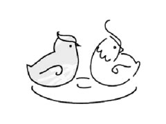 鸳鸯简笔画创作步骤图示