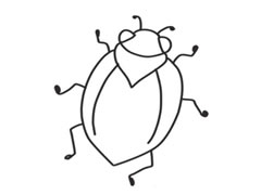 甲壳虫简笔画创作步骤图示