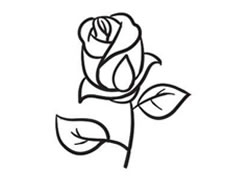 玫瑰花简笔画创作步骤图示