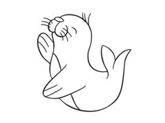 海狮简笔画创作步骤图示