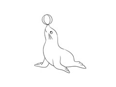 海豹简笔画绘制步骤图示