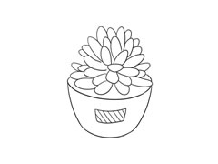 多肉植物简笔画绘制步骤图示
