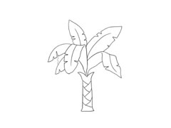 芭蕉树简笔画法步骤图示