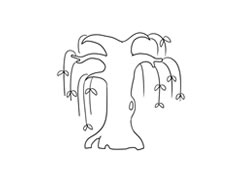 柳树简笔画法步骤图示