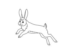 野兔简笔画分步绘制
