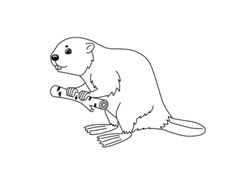 河狸简笔画分步绘制