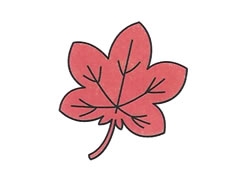 枫叶简笔画绘制步骤图示