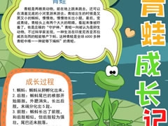 青蛙成长记录手抄报模板