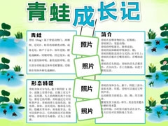 青蛙成长记手抄报模板