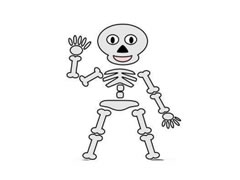 一具骷髅简笔画分步绘制图示