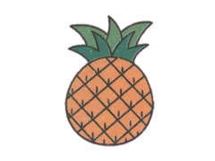 菠萝幼儿简笔画步骤图示