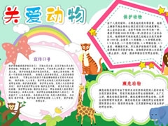 关爱动物手抄模板