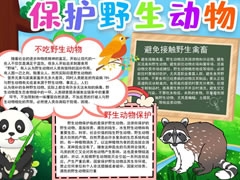 保护野生动物手抄报模板