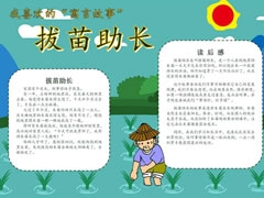 拔苗助长手抄报模板