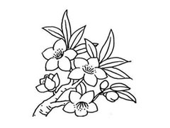 桃花简笔画